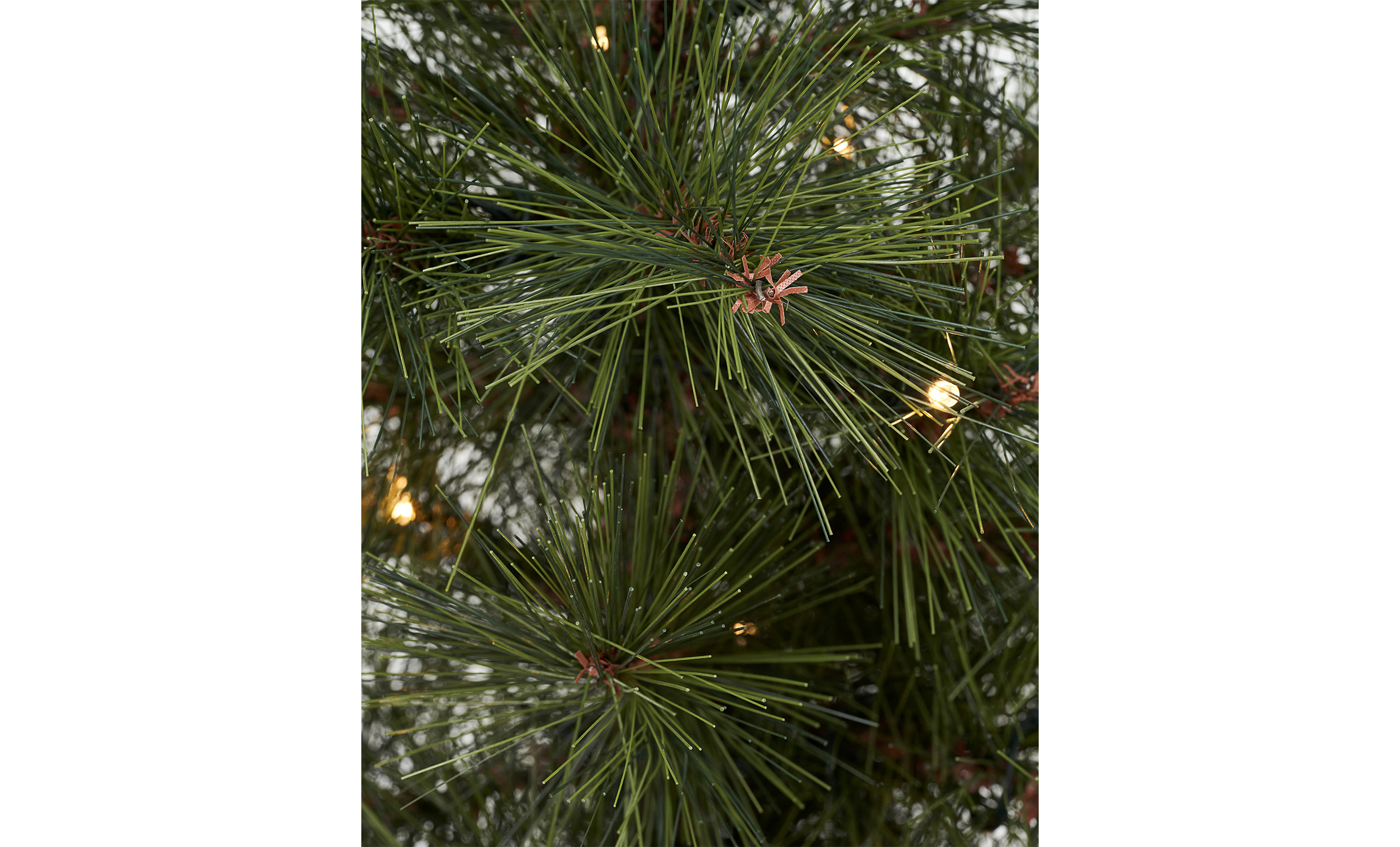 PINUS Julgran L 