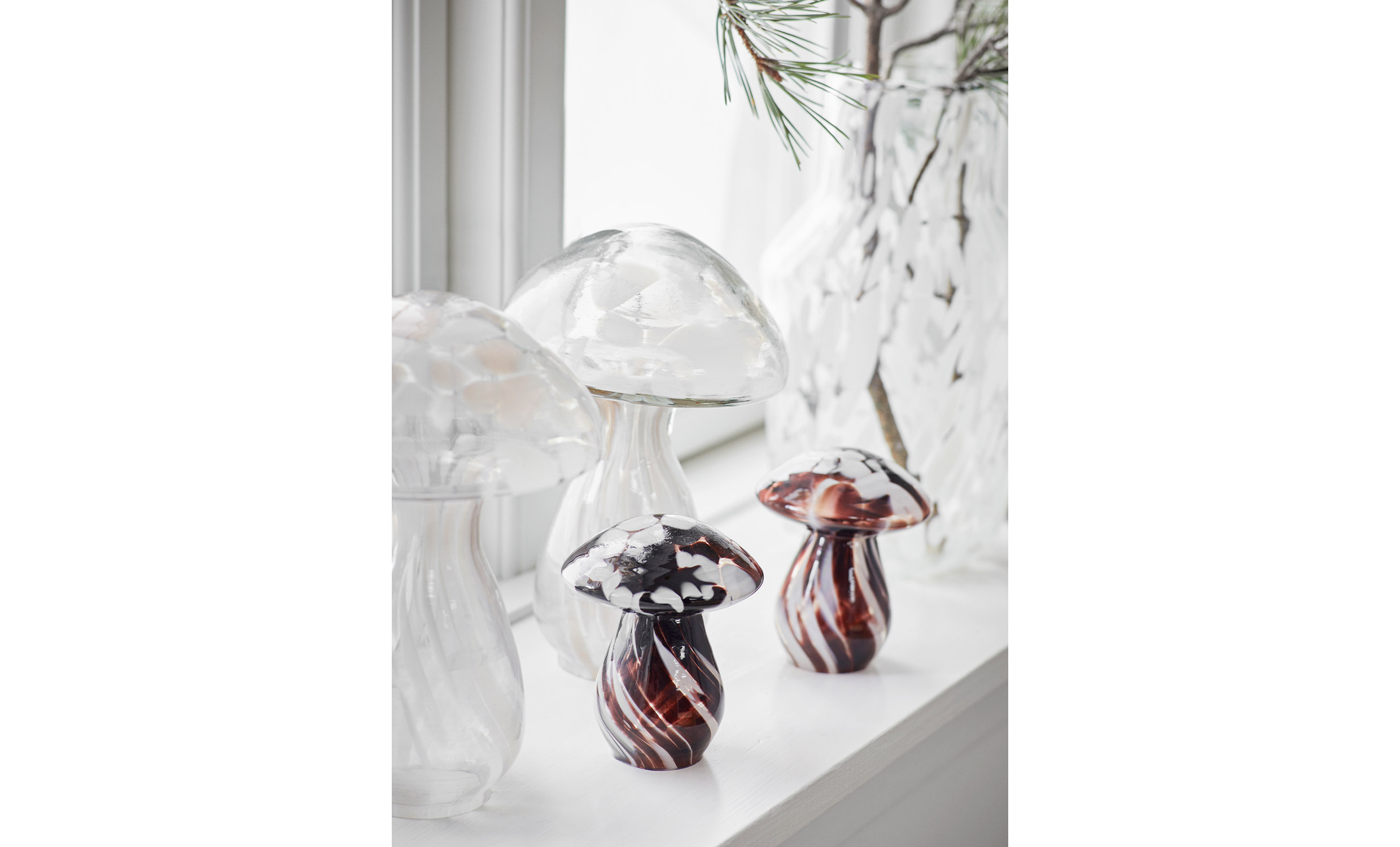 MUSHROOM Glassvamp